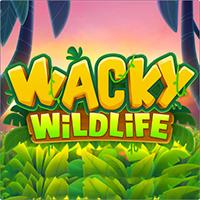 Wacky Wildlife